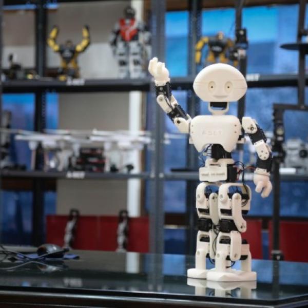 Humanoid Assistant H1